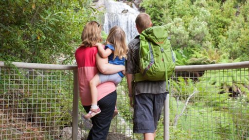 Mount Beauty, Mountain Biking & Cycling