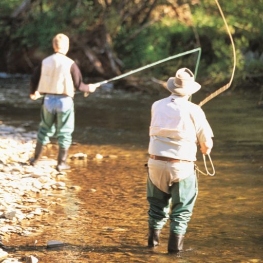 Mount Beauty, Activities