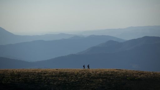 Mount Beauty, Activities