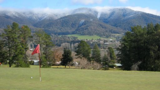 Mount Beauty, Activities