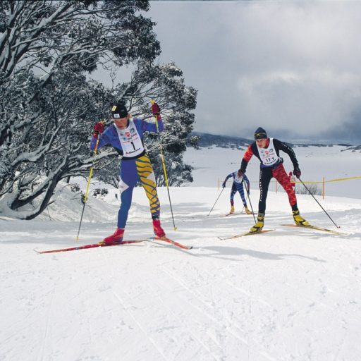 Mount Beauty, Activities