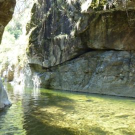 Mount Beauty Gorge Walk