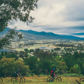 MTB Mt Beauty Mountain Bike Park Ride High Country
