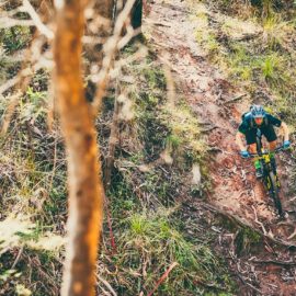 MTB Mt Beauty Mountain Bike Park Ride High Country