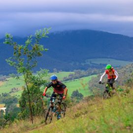MTB Mt Beauty Mountain Bike Park Ride High Country