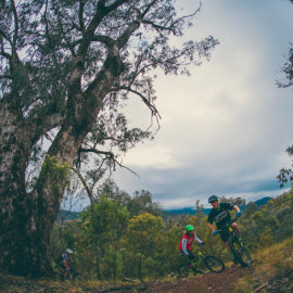 MTB Mt Beauty Mountain Bike Park Ride High Country