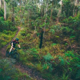 MTB Mt Beauty Mountain Bike Park Ride High Country