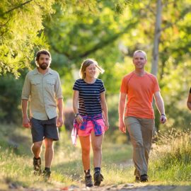 Survey Track / Pole Track