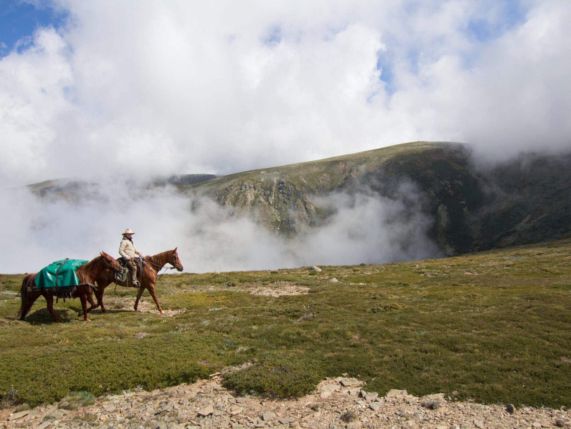 Pioneering the High Plains - Bogong Horseback Adventures