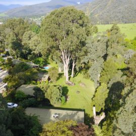 Kiewa Country Cottages