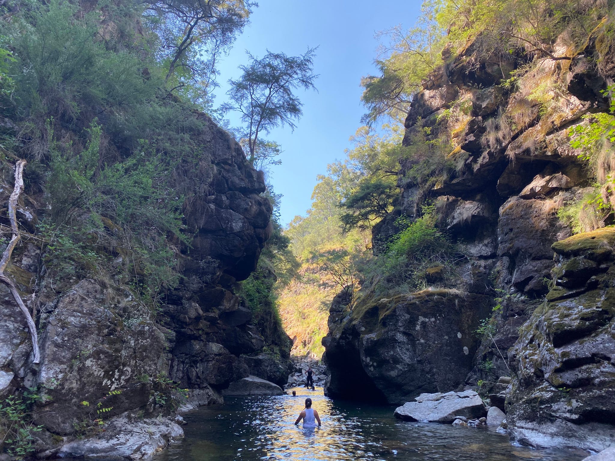 a person standing in a gorge