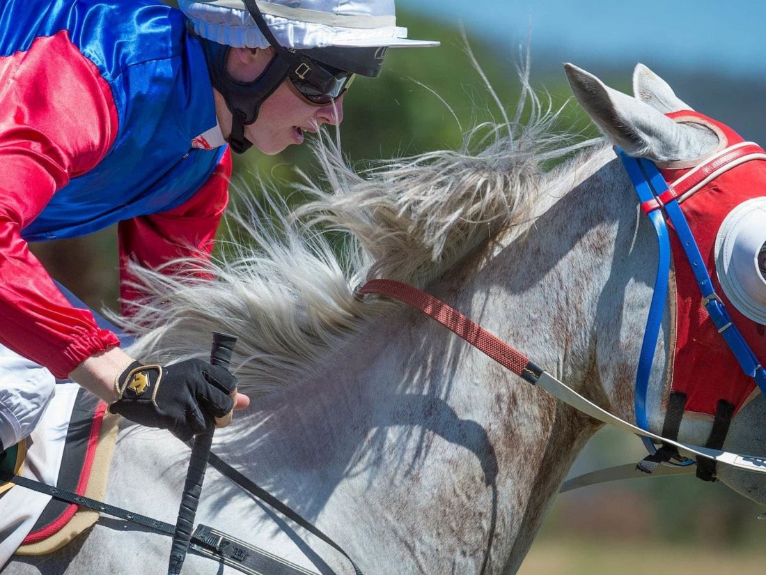 Dederang Picnic Races