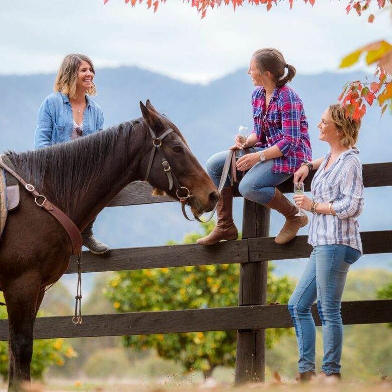 Horseriding5_MtBeauty_Summer