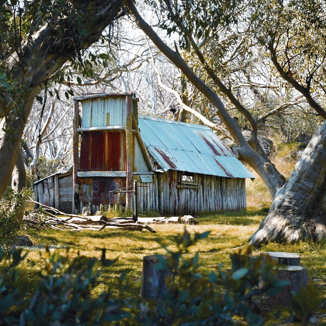 Wallaces Hut Falls Creek Summer 4_3