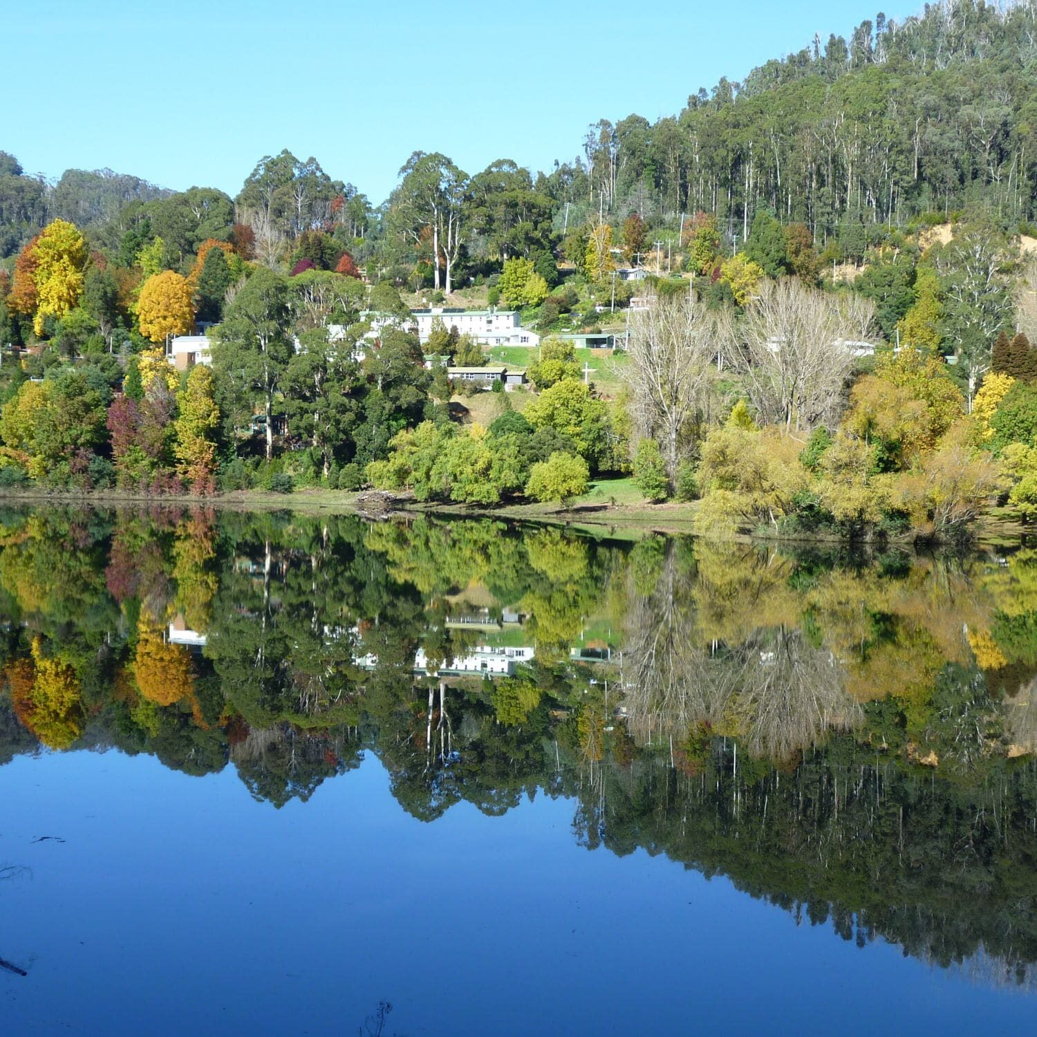 fishing bogong village autumn 1_1