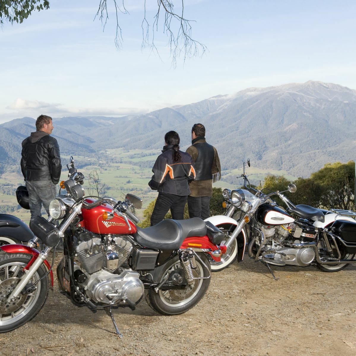 lookout motorbike mount beauty 1_1