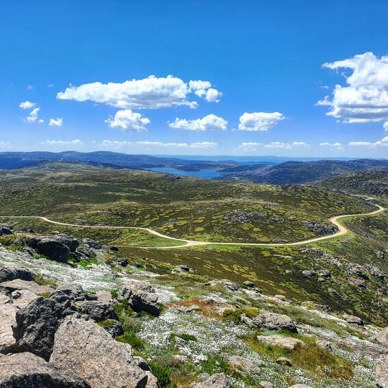 mt mckay laura