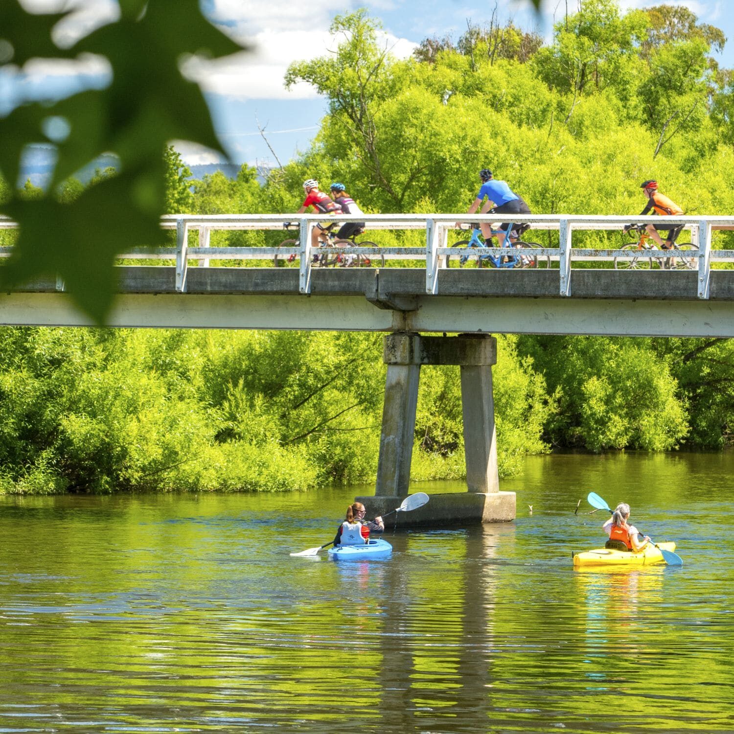 swim bridge mount beauty 1_1