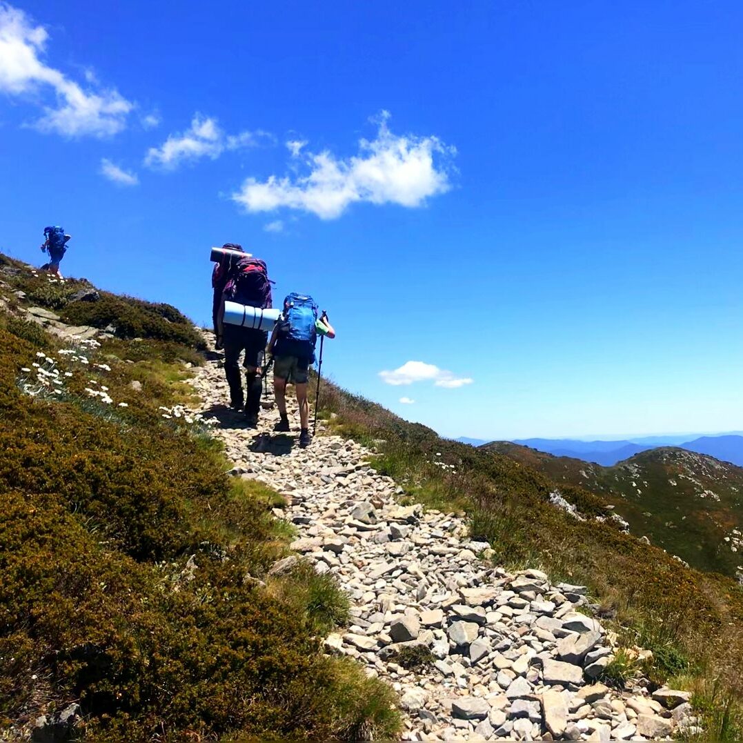 walk bogong summer 1_1